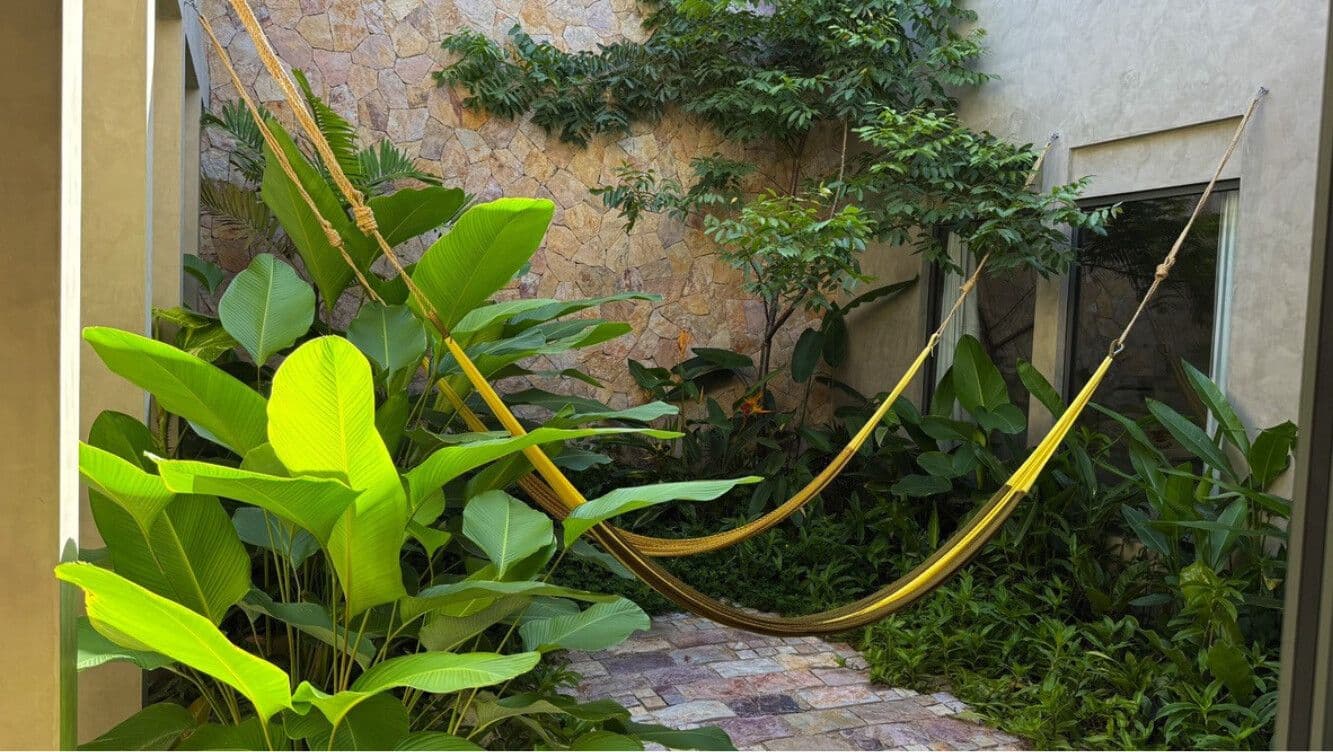 La Selva 36