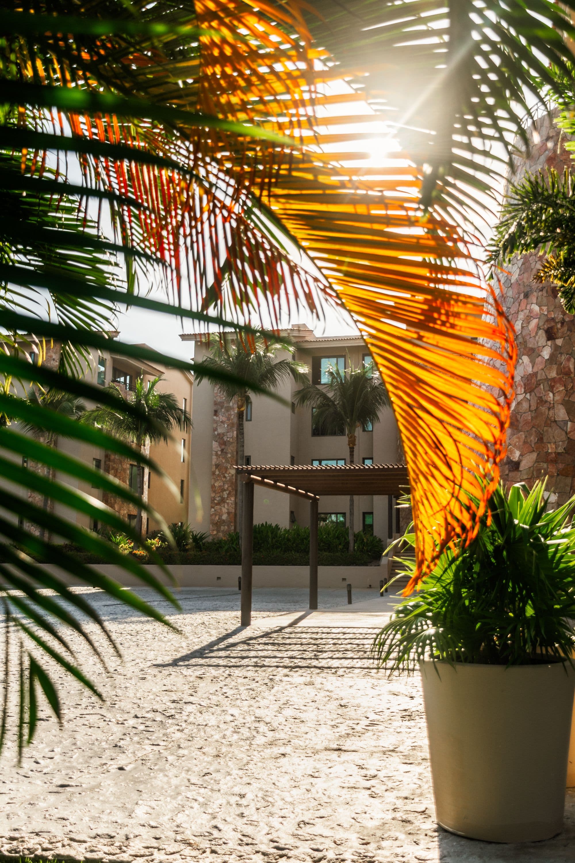 Hacienda De Mita 801